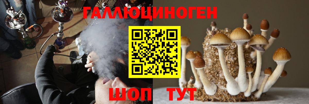 Галлюциногенные грибы GOLDEN TEACHER  Псилоцибиновые грибы MAGIC MUSHROOMS  Вход с VPN  Семилуки 